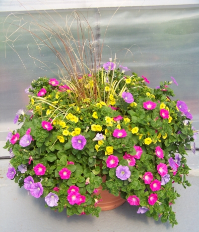 Blumenkübel
